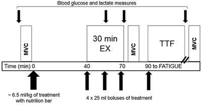 Caffeine Ingestion With or Without Low-Dose Carbohydrate Improves Exercise Tolerance in Sedentary Adults